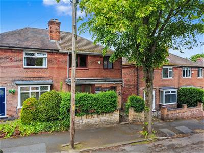Picture 20